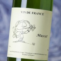 Ginglinger Muscat
