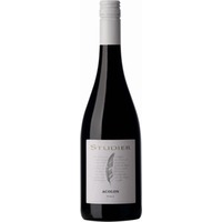 Acolon Rotwein Bio - Weingut Studier