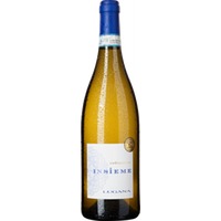 Ambre Lugana Insieme