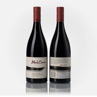 Element Vineyard Gimblett Gravels Syrah