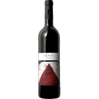 Garnacha Particular Old Wine - San Valero