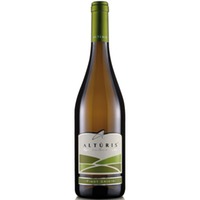 Pinot Grigio IGT