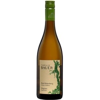 Ried Hinterberg Grüner Veltliner trocken Bio - Weingut Familie Bauer