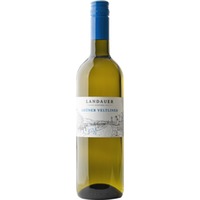 Grüner Veltliner trocken Bio - BIO Weingut Landauer-Gisperg