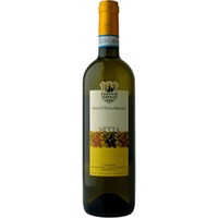 Netta Langhe Nascetta DOC trocken - Anna Maria Abbona