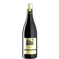 Pinot Noir Jaspis »Zipsin«