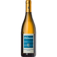 Wittmann Weissburgunder Réserve, Trocken, Rheinhessen, Rheinhessen, 2023, Weißwein