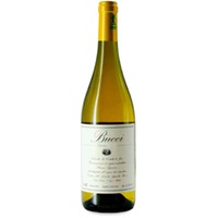 Bucci Verdicchio dei Castelli di Jesi Classico