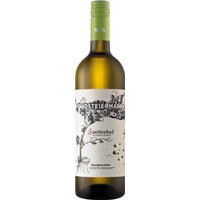 Sauvignon Blanc Südsteiermark DAC