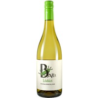 Donauriesling Weitblick trocken Bio - Weingut Baier