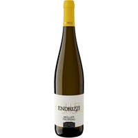 Müller Thurgau Trentino DOC trocken - Endrizzi