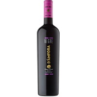 Can Rich Negre d'Amfora