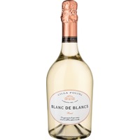 Villa Folini Blanc de Blancs Brut, Brut, Vino Spumante, Vino Spumante, Schaumwein