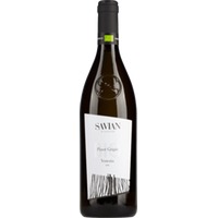 Pinot Grigio Venezia DOC - Savian