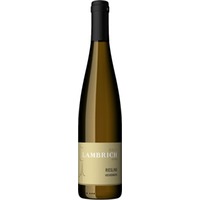 Riesling feinherb - Weingut Albert Lambrich