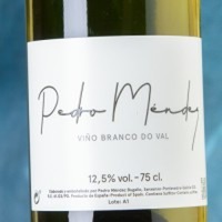 Pedro Méndez