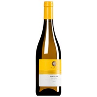 "Soralisa" Bianco Sant'Antimo DOC