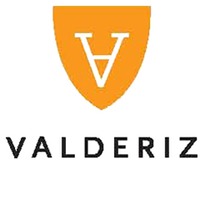 Sitio de Valdehermoso Ribera del Duero DO trocken Bio - Bodegas Valderiz