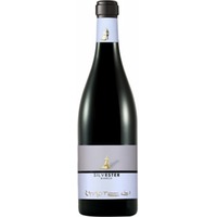SilvEster Bianco Riserva Vigneti delle Dolomiti IGP - Zanotelli