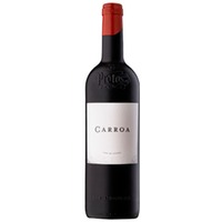 Protos Carroa