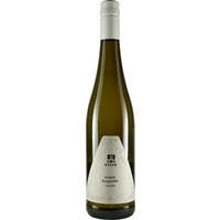 Grauer Burgunder trocken - Weingut Karl Stein