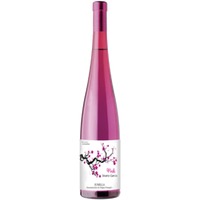 Silvano García Pink Jumilla DO trocken - Bodegas Silvano García