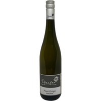 Pinot Grigio trocken - Weingut A. Pfeifer & Söhne!