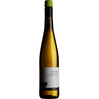 Weingut Pflüger Sauvignon Blanc vom Quarzit