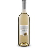 Pinot Grigio Valdadige DOC