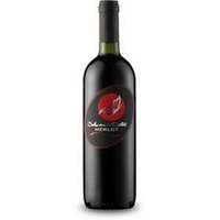 Merlot delle Venezie Liter