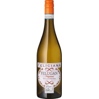 Feliciana Felugan Lugana Lombardei