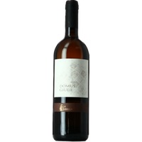 Domus Giulii Falanghina - La Sibilla