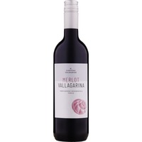 Cantina Valdadige Merlot Vallagarina Igt 0.75 L Flasche