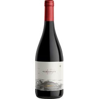 Bodega Otronia 45 Rugientes Pinot Noir - Bio 0.75 L Flasche