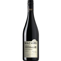 Wachau Classic Blauer Zweigelt - Domäne Wachau