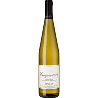 Eruzione 1614 Carricante Sicilia DOC
