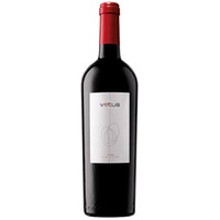 Vetus - Artevino Vetus