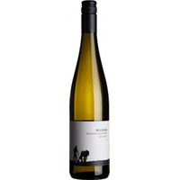 Weingut Pflüger Weissburgunder vom Quarzit