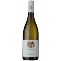 Weißburgunder VDP.GUTSWEIN trocken Bio - Weingut Acham-Magin