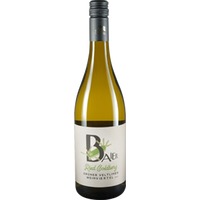 Goldberg Grüner Veltliner Weinviertel DAC trocken Bio - Weingut Baier