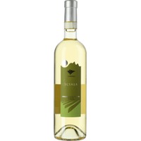 Vermentino di Gallura Superiore Sciala