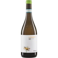 Arneis Langhe DOC Le Margherite Brandini - Agricola Brandini