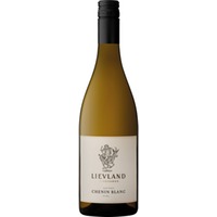 Bushvine Old Vines Chenin Blanc, WO Paarl, Western Cape, 2024, Weißwein