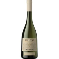 Tbilvino Rkatsiteli, Trocken, Georgien, Kakheti, 2024, Weißwein