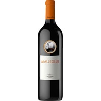 Emilio Moro Malleolus