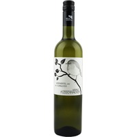 Weinviertel DAC Ried Sonnleiten trocken Bio - Weingut Fleischhacker