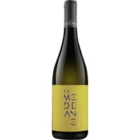 Friulano Friuli DOC trocken - Modeano