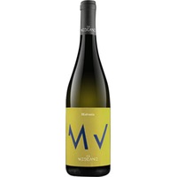 Malvasia Friuli DOC trocken - Modeano
