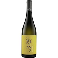 Sauvignon Friuli DOC trocken - Modeano