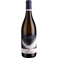 Klaus Lentsch: Pinot Grigio DOC Klassik